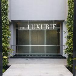 The Luxurie (D19), Condominium #73704632